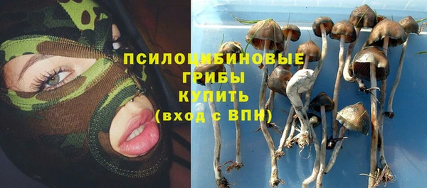 соль курить ск Богородск