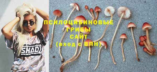 скорость Богородицк